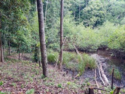 Elevated Coastal Land in Calm Deep Water Bay, Bocas del Toro - image 11