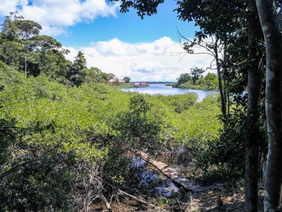Elevated Coastal Land in Calm Deep Water Bay, Bocas del Toro - image 21