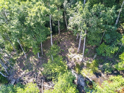 Elevated Coastal Land in Calm Deep Water Bay, Bocas del Toro - image 20