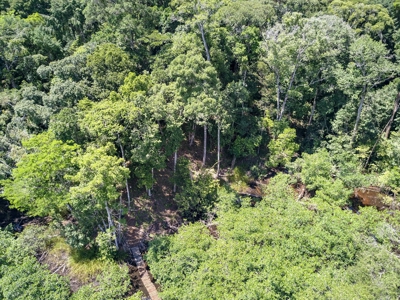 Elevated Coastal Land in Calm Deep Water Bay, Bocas del Toro - image 18