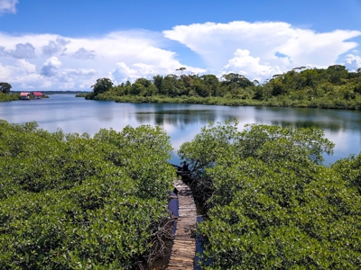Elevated Coastal Land in Calm Deep Water Bay, Bocas del Toro - image 16