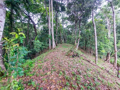 Elevated Coastal Land in Calm Deep Water Bay, Bocas del Toro - image 3