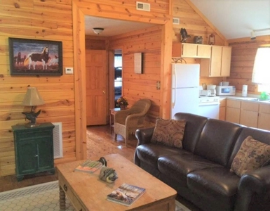 Commercial Cabins Rentals in the Ozarks - image 3