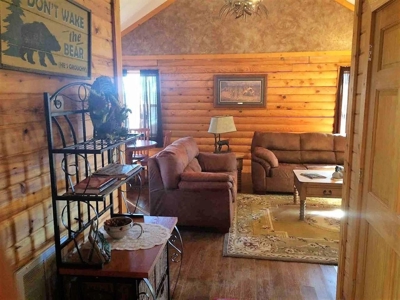 Commercial Cabins Rentals in the Ozarks - image 14