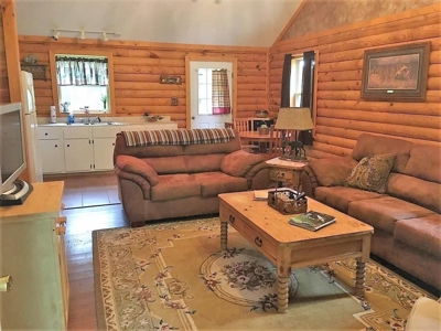 Commercial Cabins Rentals in the Ozarks - image 28
