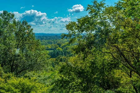 Home For Sale in Franklin, Tennessee - image 13