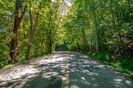 Home For Sale in Franklin, Tennessee - image 43