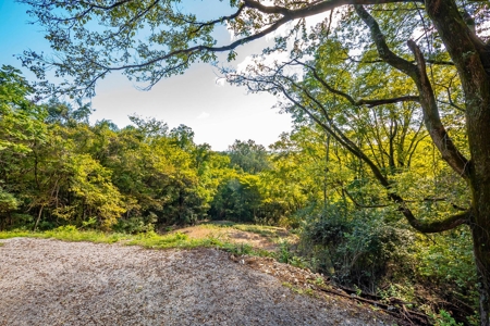 Home For Sale in Franklin, Tennessee - image 38