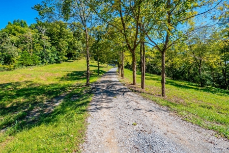 Home For Sale in Franklin, Tennessee - image 45