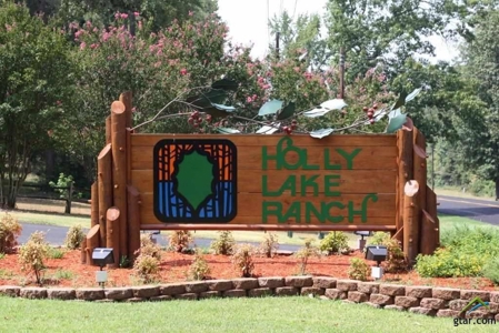 Gated Stunning Home Holly Lake Ranch Wood County East Texas - image 47