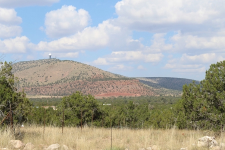 Country Acreage with Electric Power Avail, Good Access - image 1
