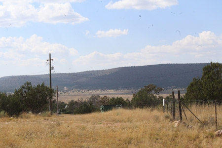 Country Acreage with Electric Power Avail, Good Access - image 4