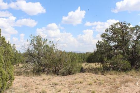 Country Acreage with Electric Power Avail, Good Access - image 3