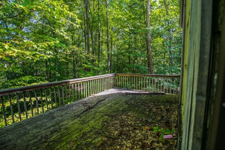 Indiana Hunting and Recreational Land – National Forest - image 22