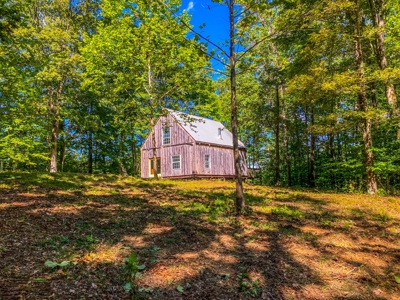 Indiana Hunting and Recreational Land – National Forest - image 10