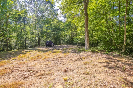 Indiana Hunting and Recreational Land – National Forest - image 6