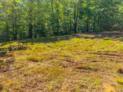 Indiana Hunting and Recreational Land – National Forest - image 1