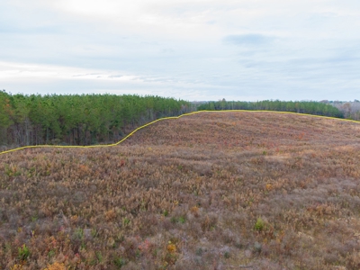 Hunting Land In Ouachita Parish Louisiana For Sale - image 9