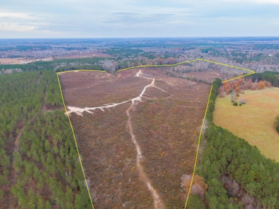 Hunting Land In Ouachita Parish Louisiana For Sale - image 12