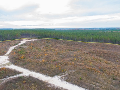 Hunting Land In Ouachita Parish Louisiana For Sale - image 7