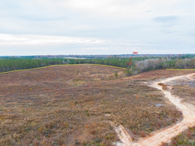 Hunting Land In Ouachita Parish Louisiana For Sale - image 10