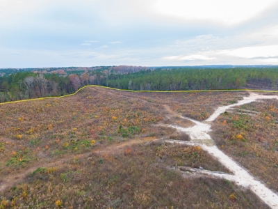 Hunting Land In Ouachita Parish Louisiana For Sale - image 6