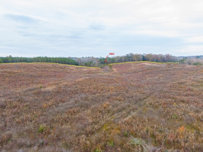 Hunting Land In Ouachita Parish Louisiana For Sale - image 8