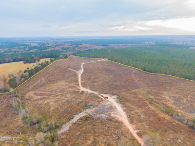 Hunting Land In Ouachita Parish Louisiana For Sale - image 13