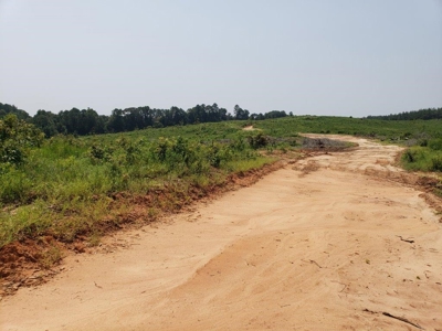 Hunting Land In Ouachita Parish Louisiana For Sale - image 2
