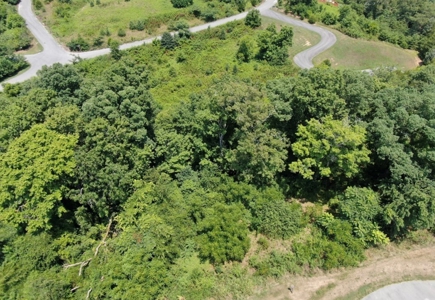.55 Acre Lot in Bayside Subdivision in Bean Station, TN - image 5