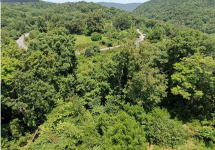 .55 Acre Lot in Bayside Subdivision in Bean Station, TN - image 7