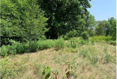 .55 Acre Lot in Bayside Subdivision in Bean Station, TN - image 3