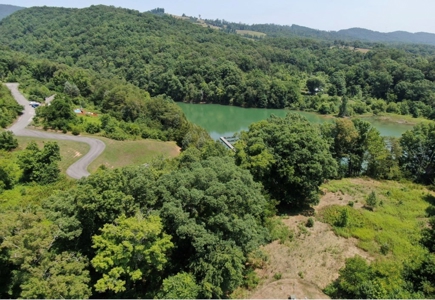 .55 Acre Lot in Bayside Subdivision in Bean Station, TN - image 4
