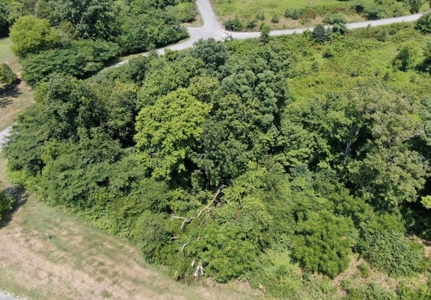 .55 Acre Lot in Bayside Subdivision in Bean Station, TN - image 6
