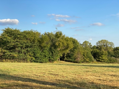 Mark Twain Lake Partial Lake View  5+/- ac Lot Route U - image 15