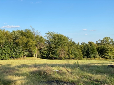 Mark Twain Lake Partial Lake View  5+/- ac Lot Route U - image 2