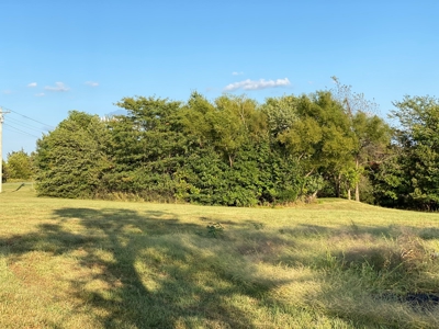 Mark Twain Lake Partial Lake View  5+/- ac Lot Route U - image 3