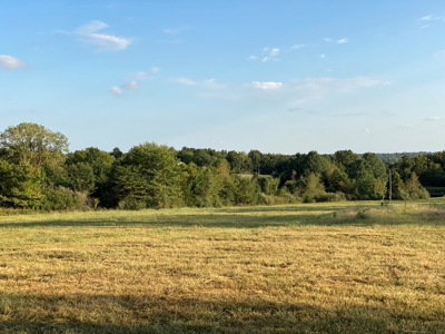 Mark Twain Lake Partial Lake View  5+/- ac Lot Route U - image 17