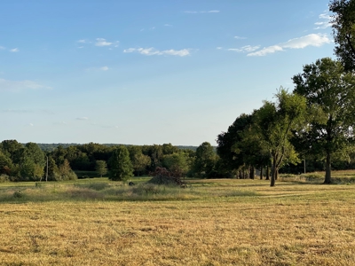 Mark Twain Lake Partial Lake View  5+/- ac Lot Route U - image 13