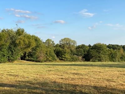 Mark Twain Lake Partial Lake View  5+/- ac Lot Route U - image 16