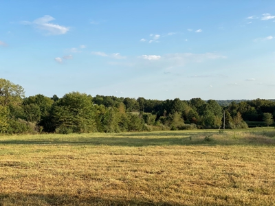 Mark Twain Lake Partial Lake View  5+/- ac Lot Route U - image 11