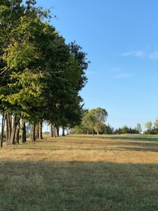 Mark Twain Lake Partial Lake View  5+/- ac Lot Route U - image 8