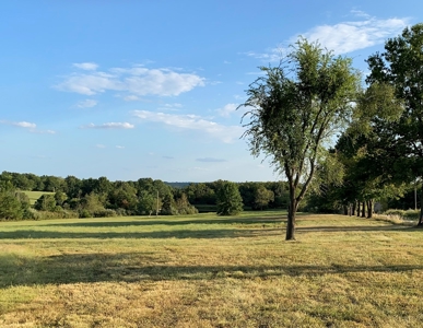 Mark Twain Lake Partial Lake View  5+/- ac Lot Route U - image 5