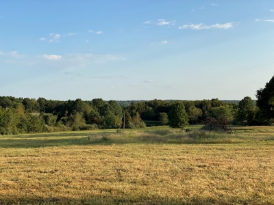 Mark Twain Lake Partial Lake View  5+/- ac Lot Route U - image 12