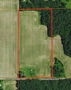 20 Acres Farmland With Homesite For Sale At Auction - image 1