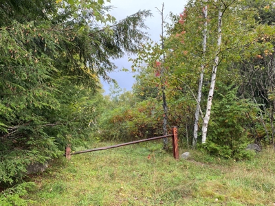 48 Acres Land for Sale Old Town Maine - image 2