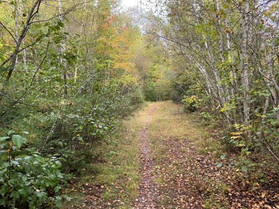 48 Acres Land for Sale Old Town Maine - image 8