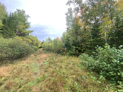 48 Acres Land for Sale Old Town Maine - image 10