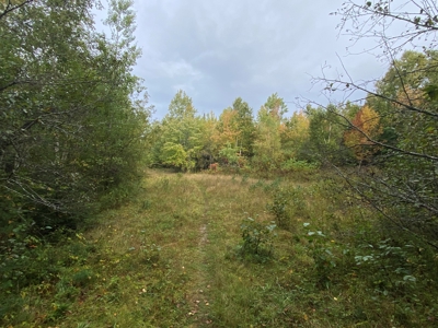 48 Acres Land for Sale Old Town Maine - image 7