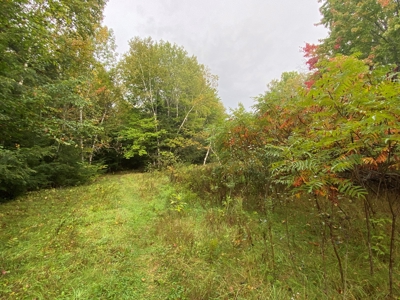 48 Acres Land for Sale Old Town Maine - image 1